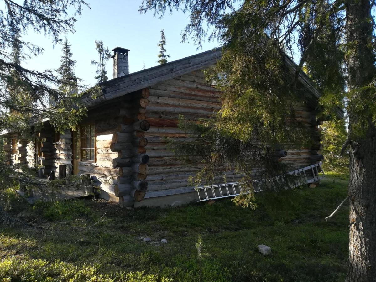Logwood Chalet Luosto Eksteriør bilde