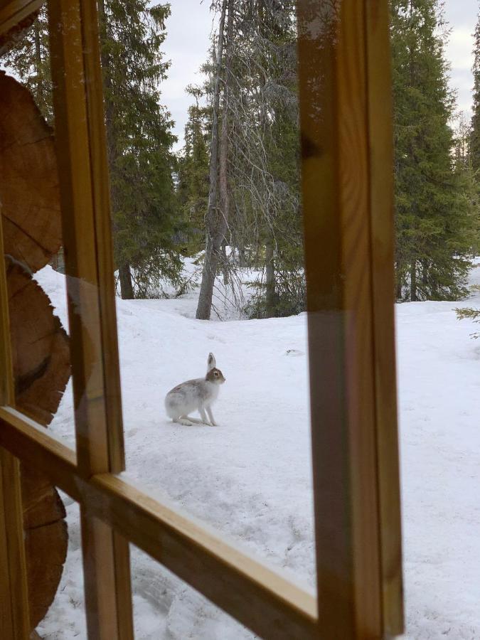 Logwood Chalet Luosto Eksteriør bilde