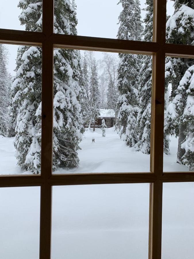 Logwood Chalet Luosto Eksteriør bilde