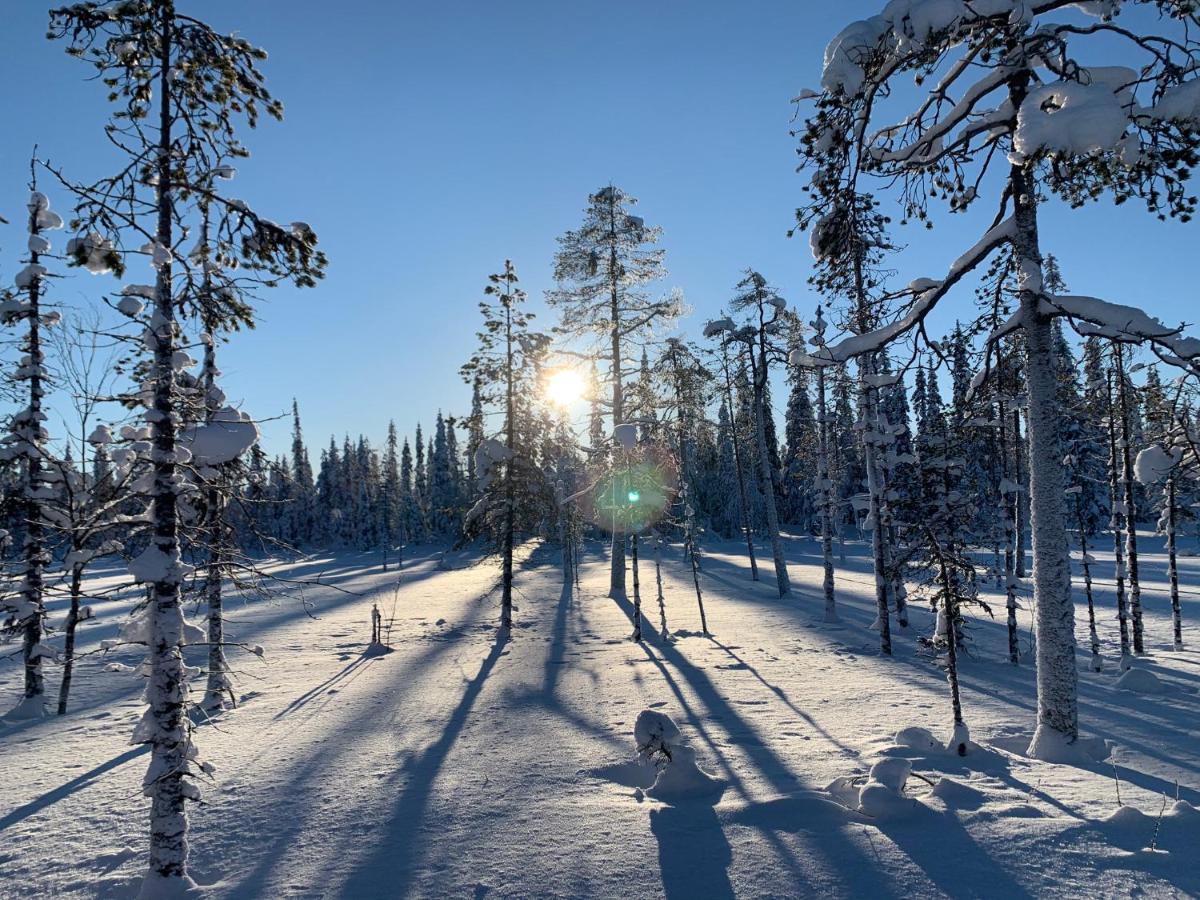 Logwood Chalet Luosto Eksteriør bilde